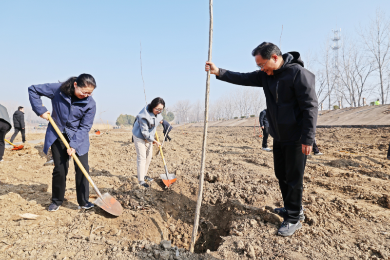 宝应县开展春季义务植树活动