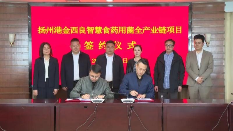 我县举行扬州·港金西良智慧农业食药用菌全产业链项目签约仪式