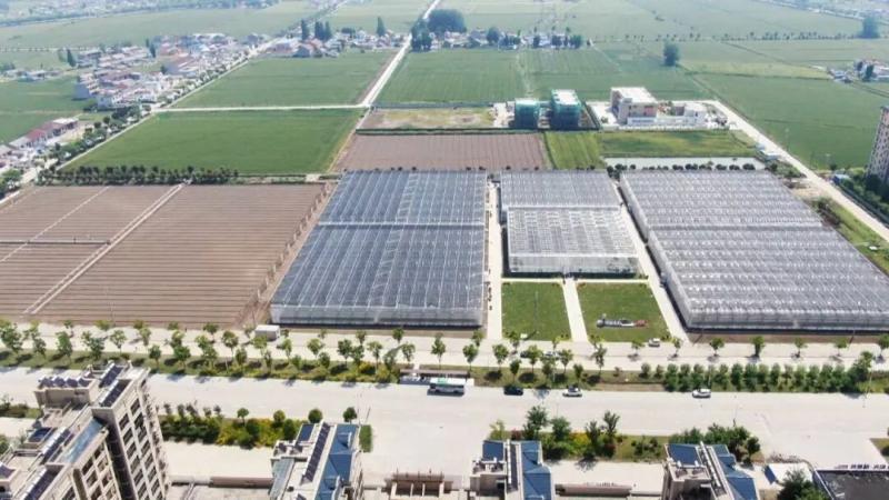 “小标签”喜见“大智慧”，“吾春田”种出“放心瓜”