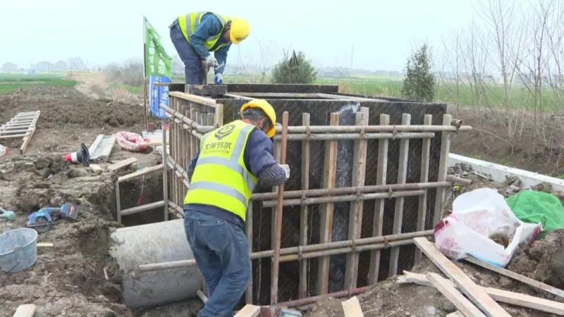 张楼村：路通渠连地成方，1600亩农田丰收有“底气”