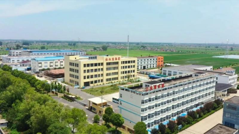奋进“十五五” 建设更高质量千亿县 | 宝珠电器：攻克柔性电路板“卡脖子”难题 敲定海外30年合作计划