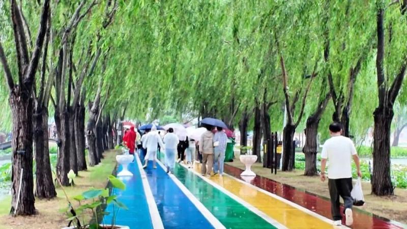 端午小长假：宝应荷园接待游客近2万人次