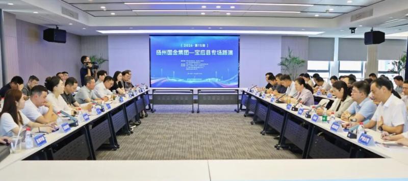 扬州国金集团2026年第十五期资本招商暨宝应县专场项目推介会在我县举办
