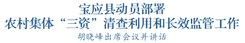 我县召开农村集体“三资”清查利用和长效监管工作动员部署会