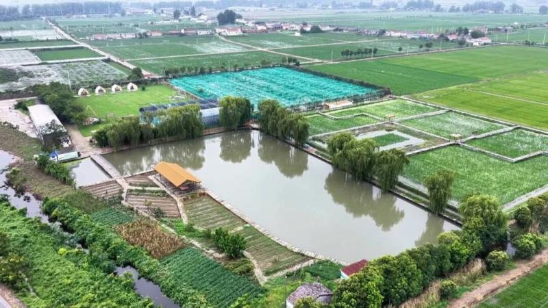 美兰家庭农场：“海陆空”立体种养 让一田生多金