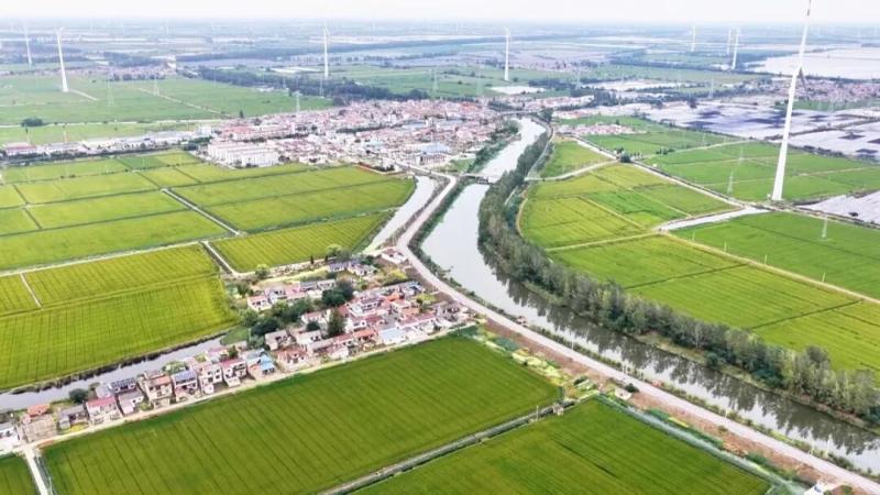 我县10座危桥、15公里乡村公路焕新升级
