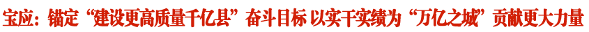 宝应：锚定“建设更高质量千亿县”奋斗目标 以实干实绩为“万亿之城”贡献更大力量