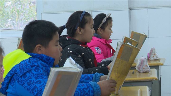 冯丽雪_20181128170456984000006.jpg